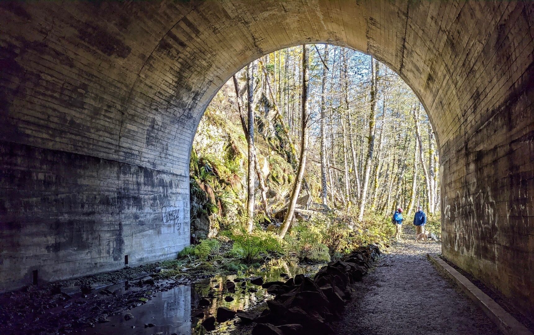 The Iron Goat Trail: Hiking in Washington's Cascade Mountains