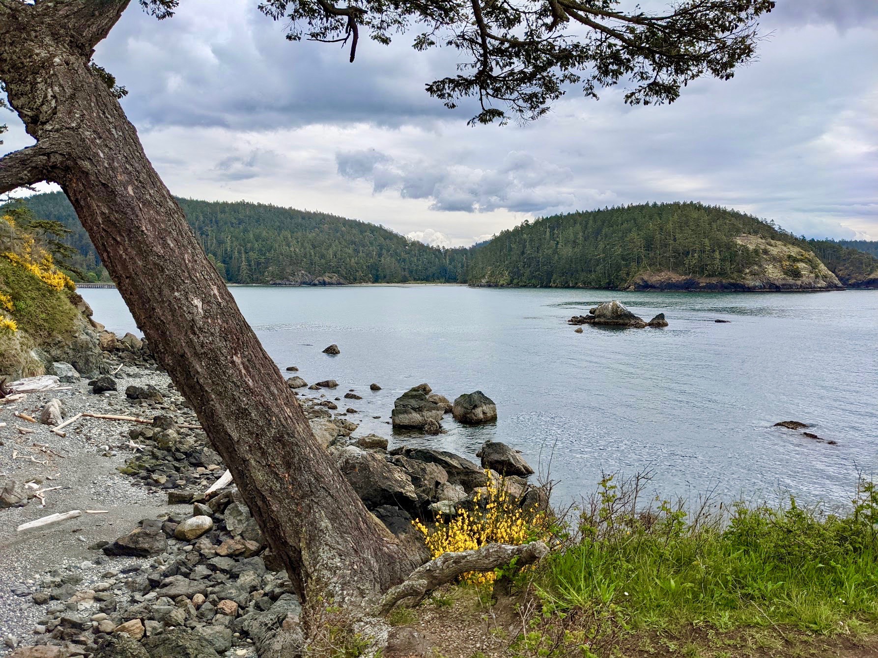 Rosario Head Hike at Deception Pass, Whidbey Island, Washington