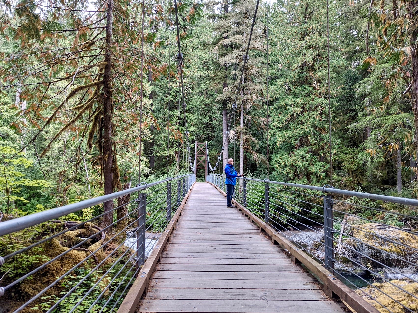 Staircase 2024 hike olympic