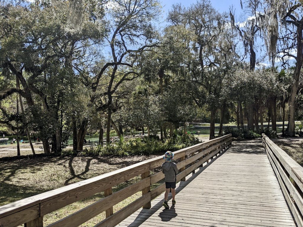 Kelly Park Florida kids boardwalk