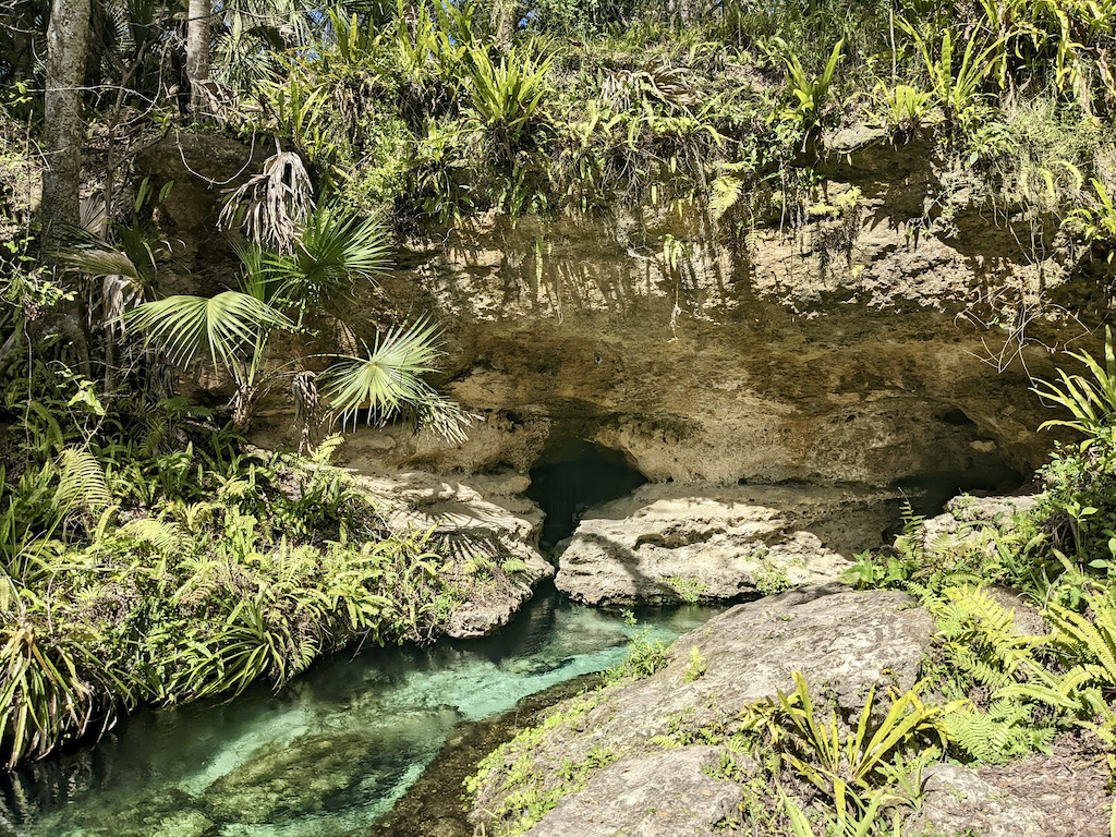 Rock Springs Run headspring Kelly Park beautiful Florida