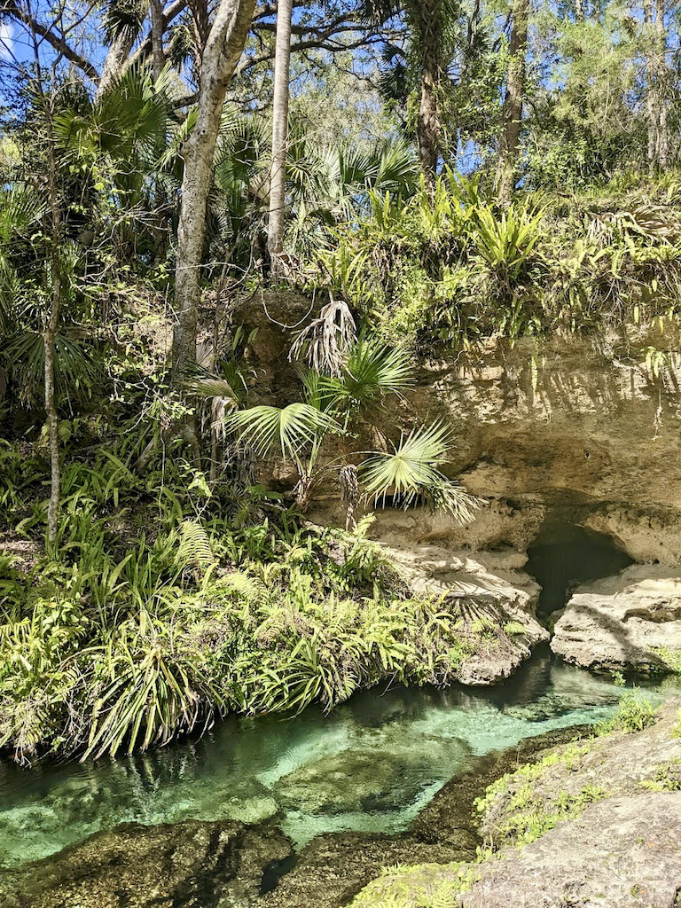 Kelly Park Rock Springs Run headspring 