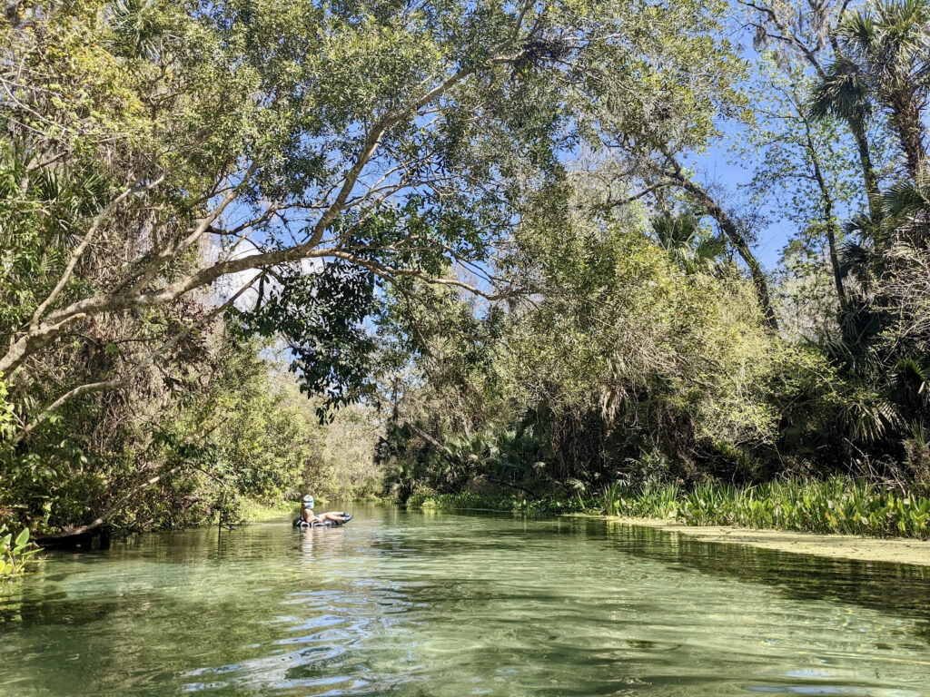 Rock Springs Run kids tubing Florida nature