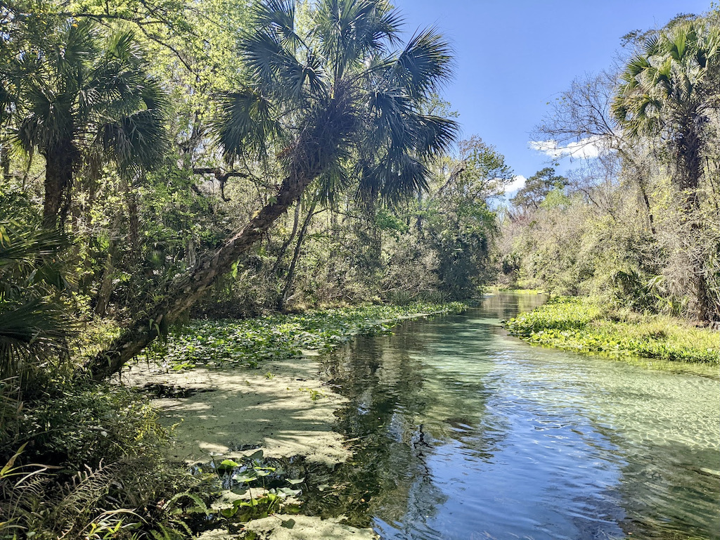 Rock Springs Run Kelly Park Florida natural beauty outdoor activities