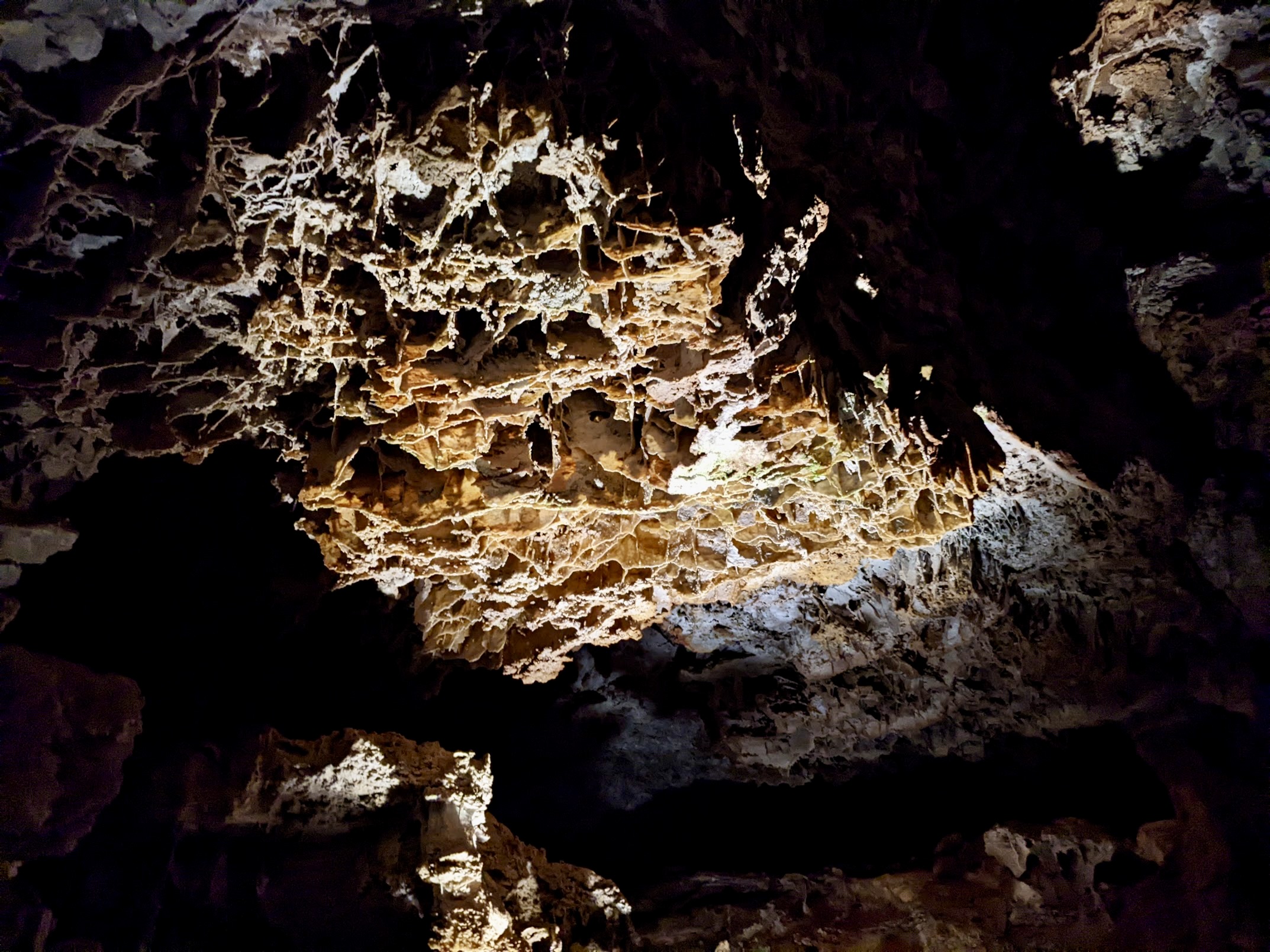 Wind Cave National Park: Exploring on the Fairgrounds Tour