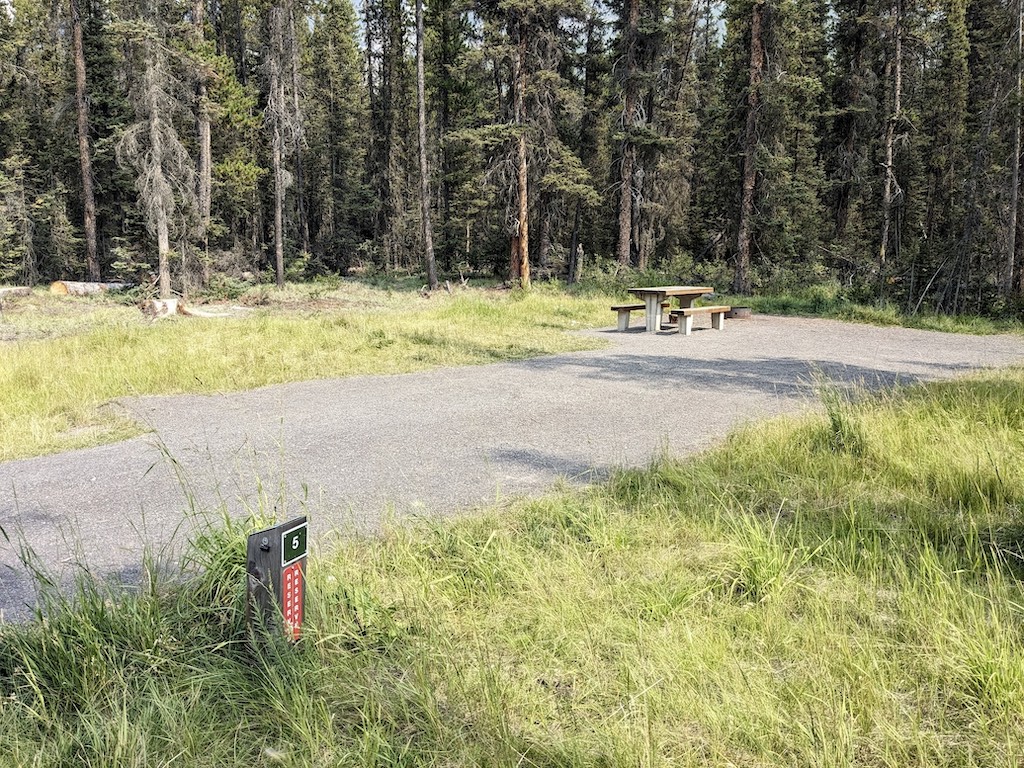 campsite #5 Silverhorn Creek Campground Canadian Rockies camping