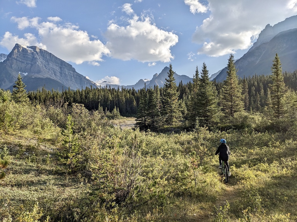 kid biking Canadian Rockies Banff National Park