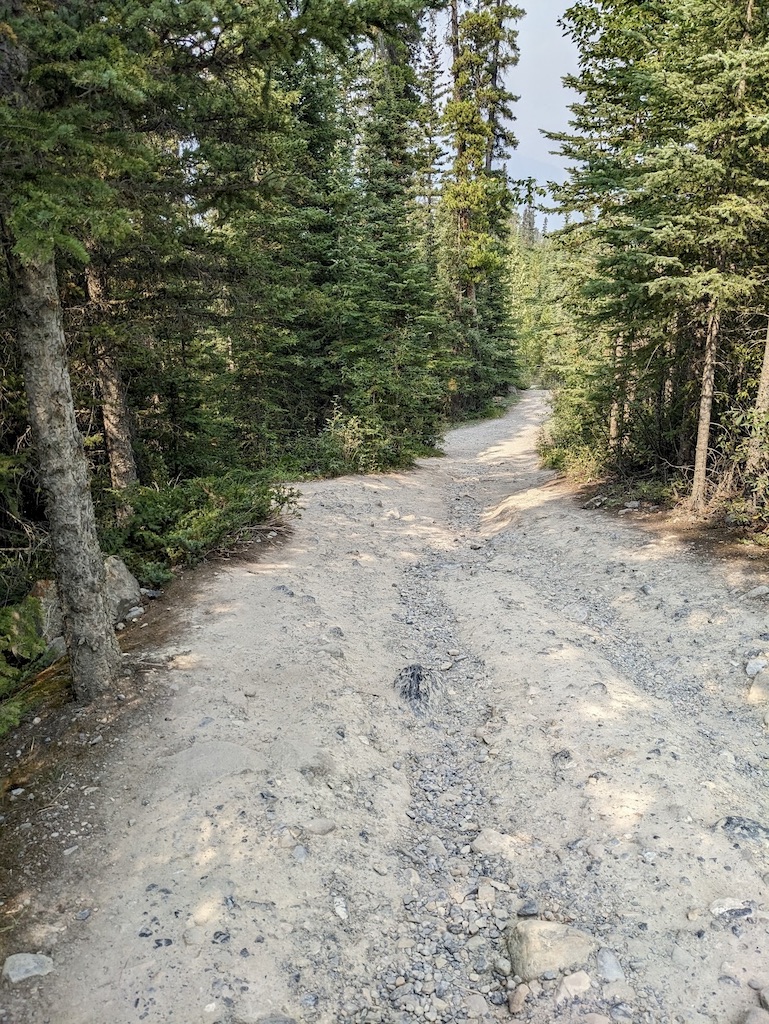 eroded trail leading to Mistaya Canyon Banff National Park Alberta