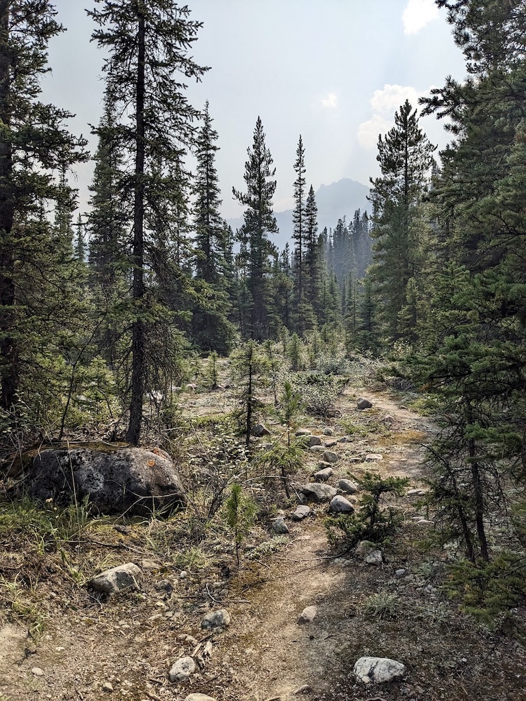 Banff National Park hiking trail