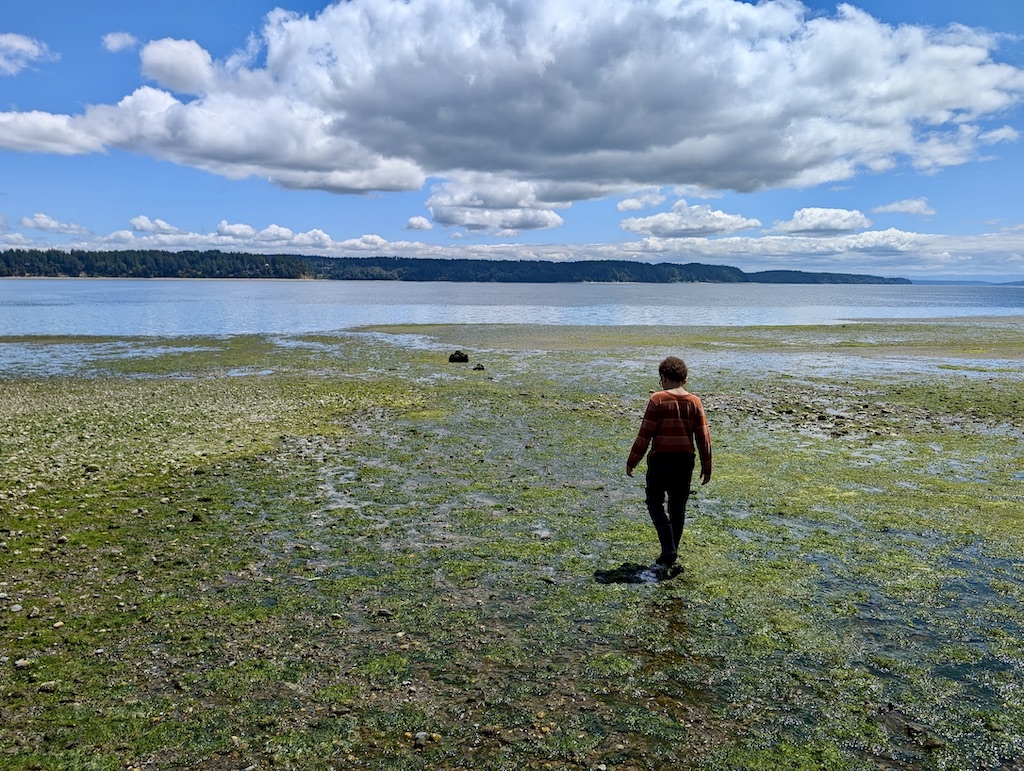 walking on the tide flats south Puget Sound