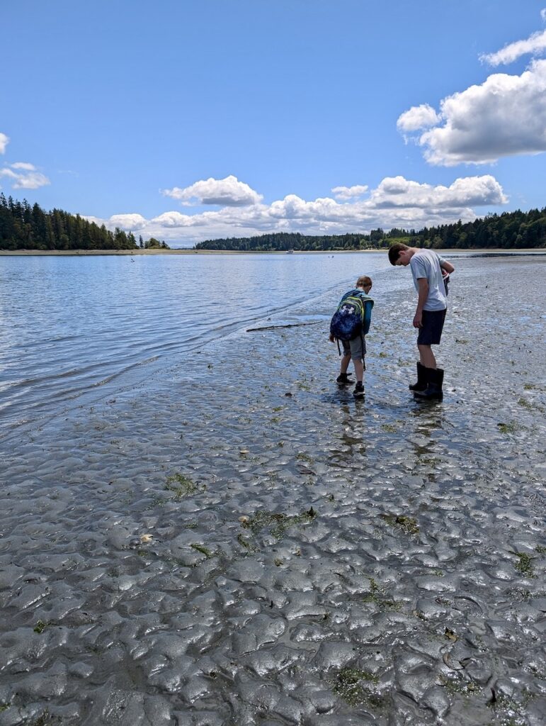 beach exploring south Salish Sea Puget Sound with McMicken Island in the background