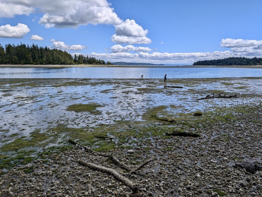 view of McMicken Island from the tide flats on Harstine Island Washington