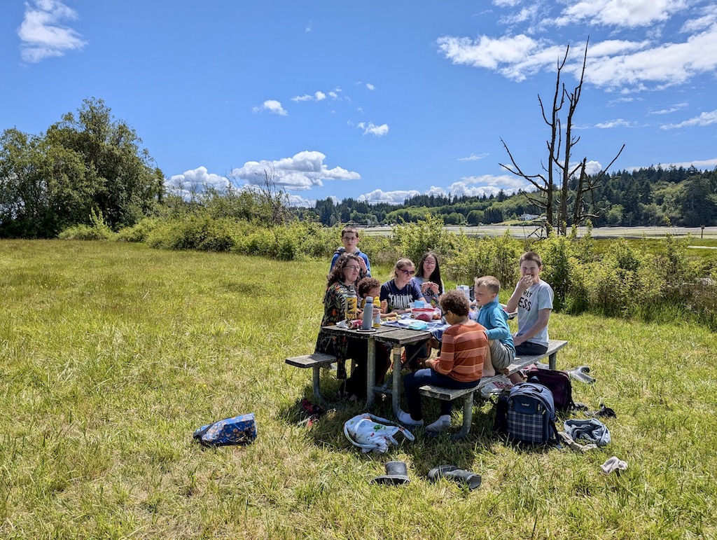 McMicken Island picnic Washington State Parks