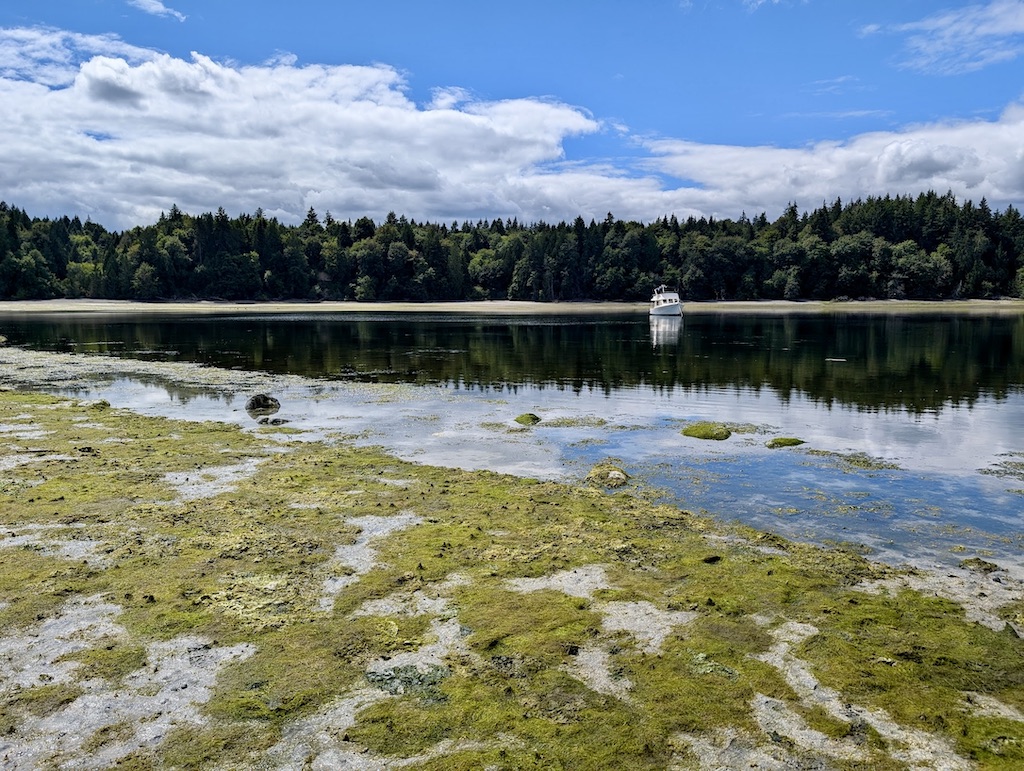 view from McMicken Island to Harstine Island