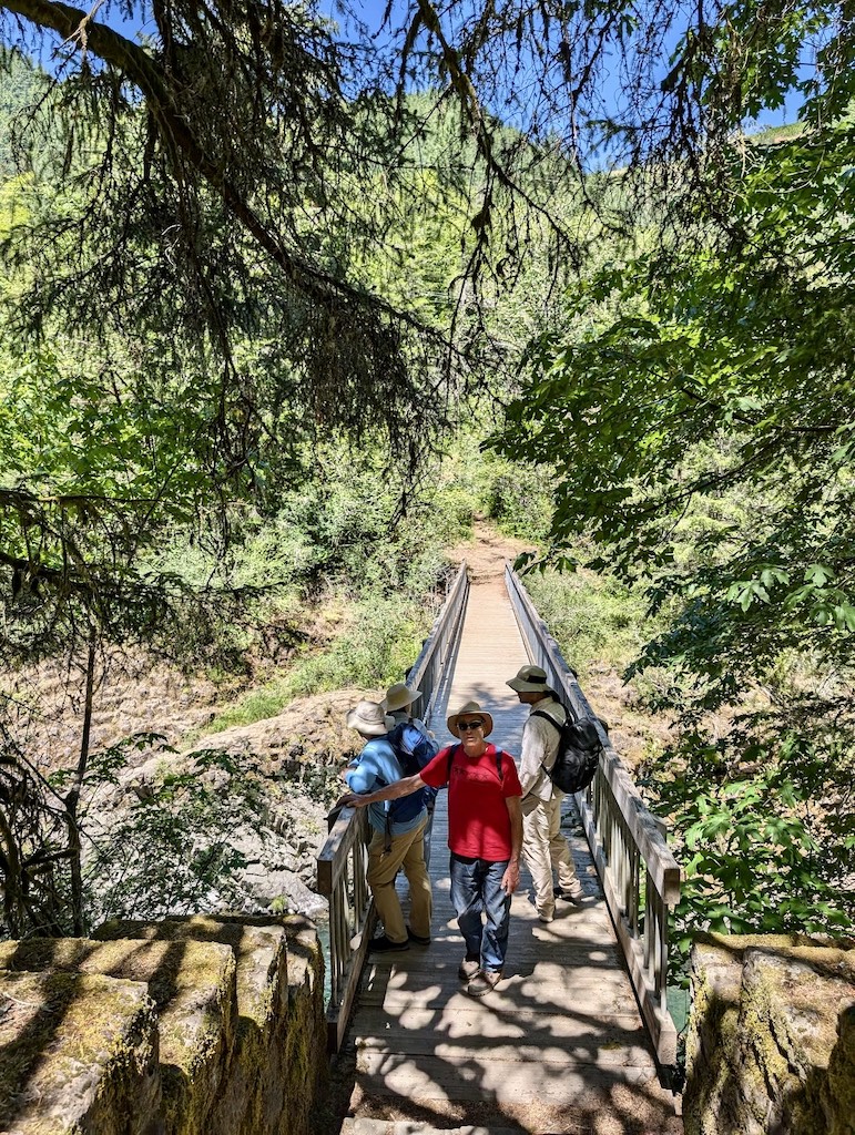 footbridge crossing the Wilson River Oregon