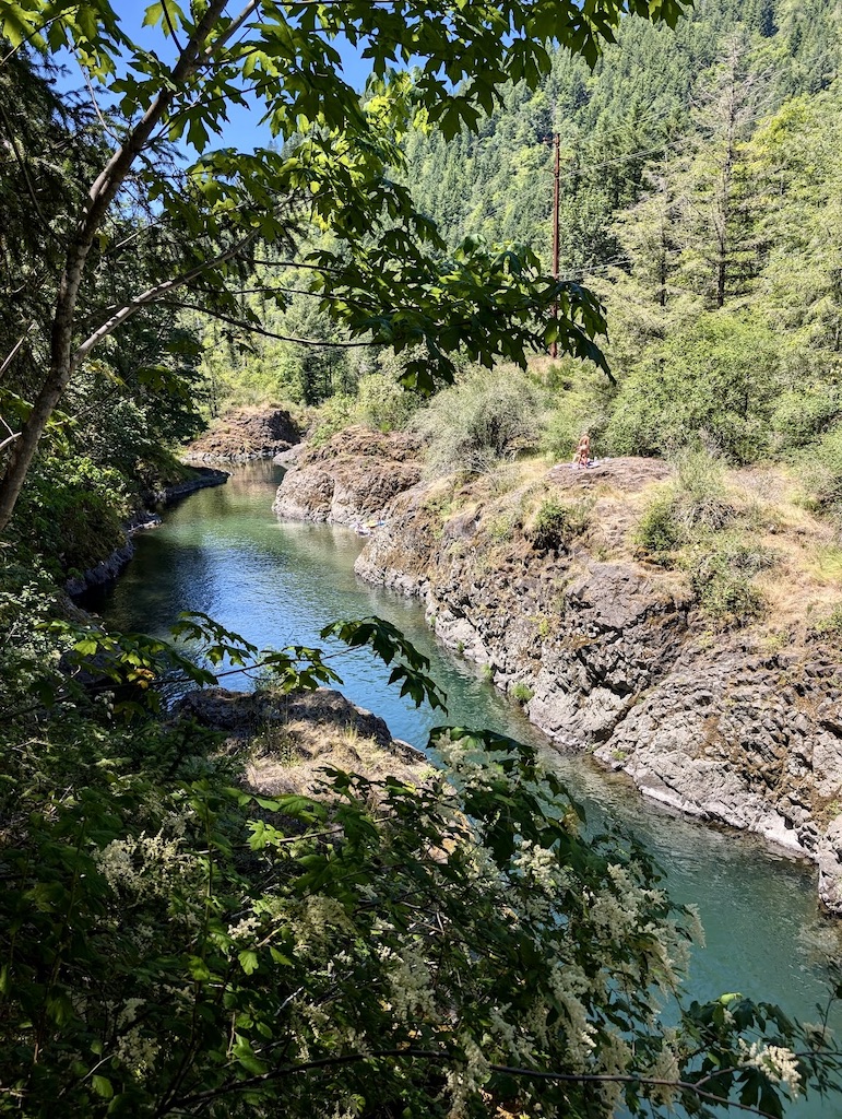 beautiful Wilson River Tillamook State Forest Oregon