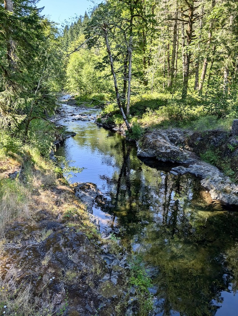 Cedar Creek Oregon Coast Range