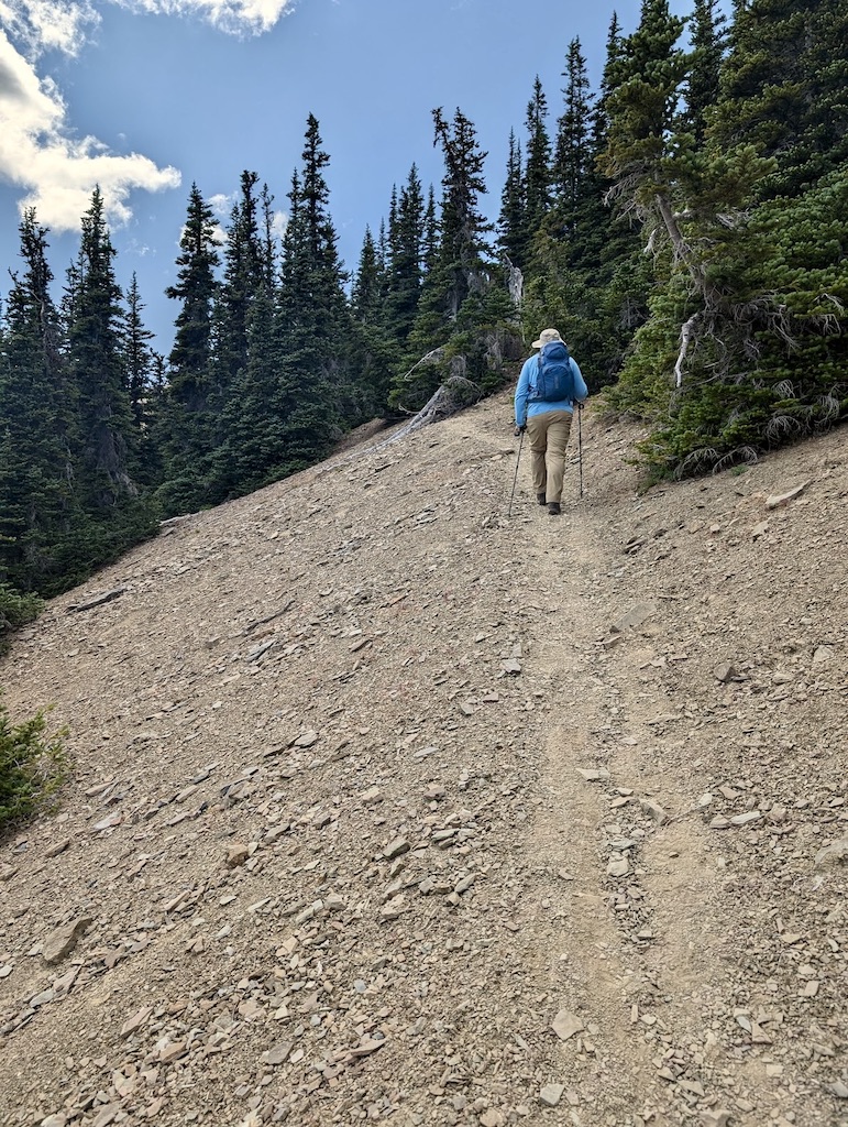 Washington State hiking switchback trail