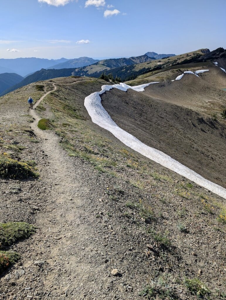 hiking across Grand Ridge in Olympic National Park