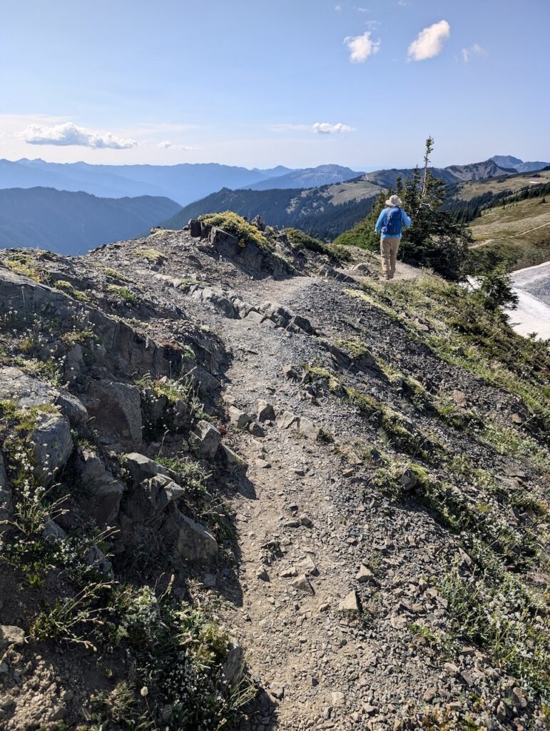 hiker on Grand Ridge Trail Olympic National Park