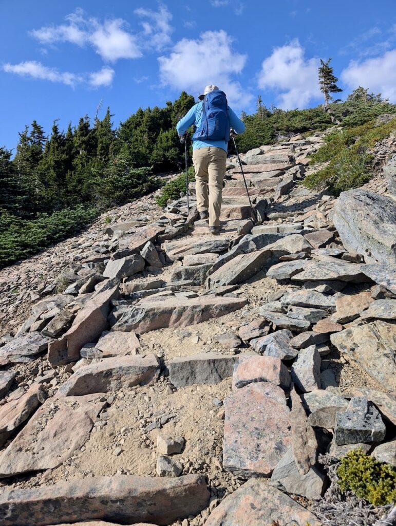 stone steps on the Grand Ridge Trail Olympic National Park 
