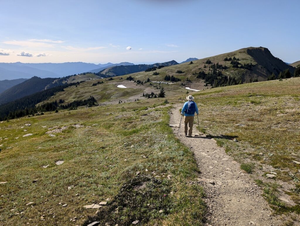 hiking Grand Ridge Olympic National Park